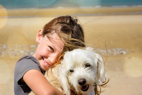 how to help your kids learn to love dogs
