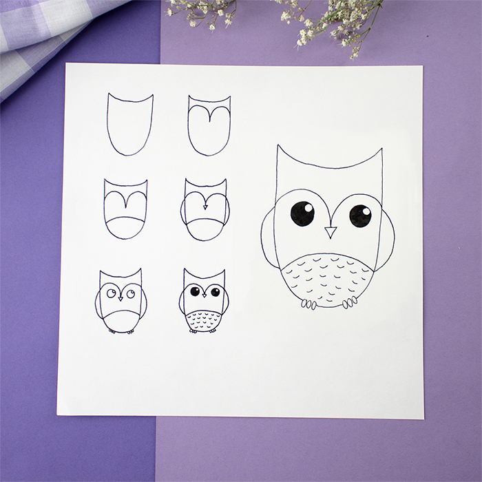 Draw An Owl: Step-By-Step Guide