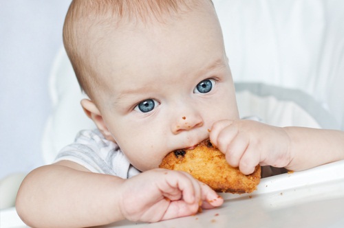 8 Baby Led Weaning Tips for Beginners